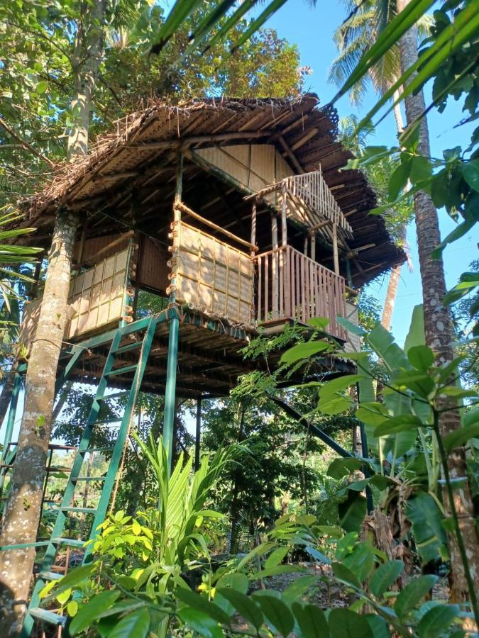 Kayyalas Courtyard Thrissur Екстериор снимка